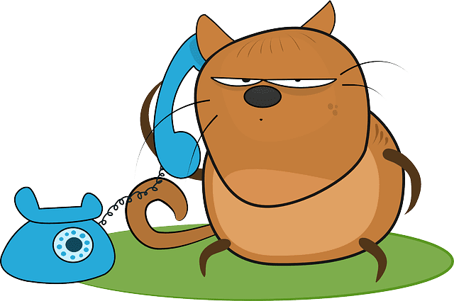 Cat on the phone (very angry)